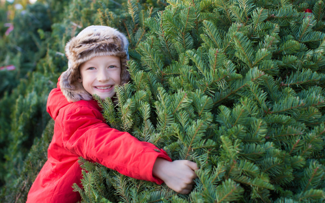family buying christmas tree and holiday greenery