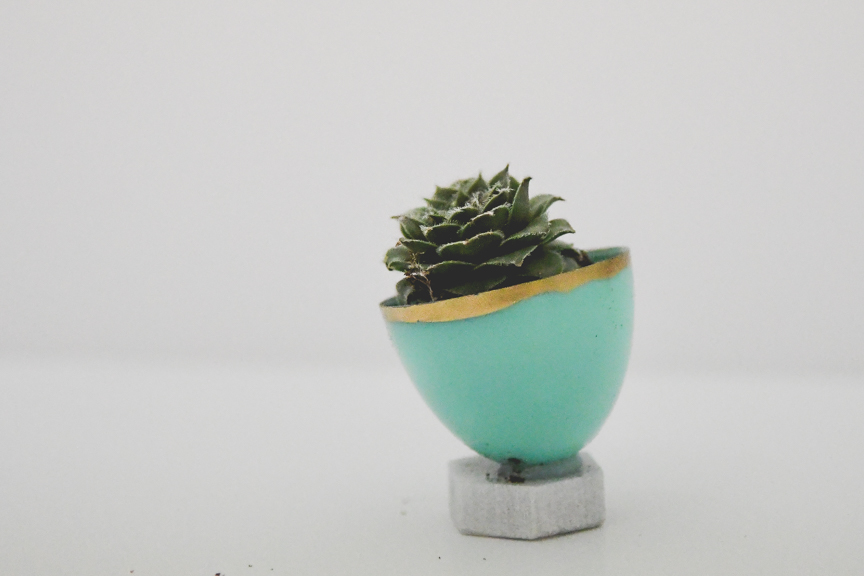 A succulent planted in a plastic Easter egg top makes a wonderful teacher appreciation gift.