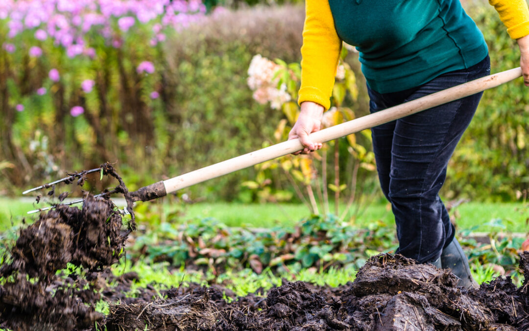 Seven tips for fall gardening