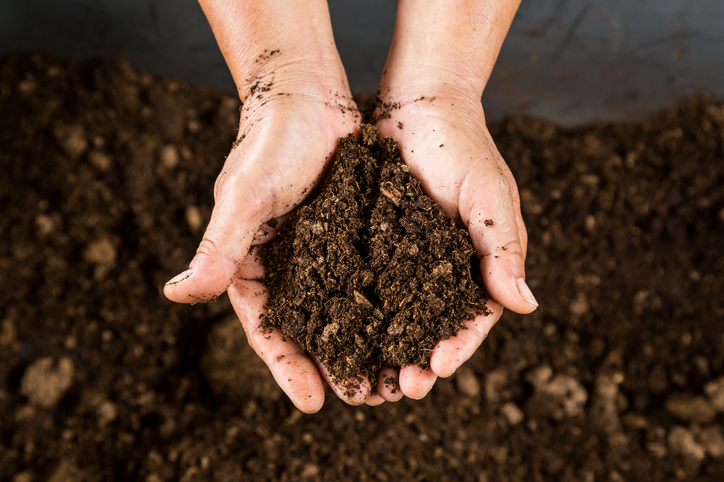 Directly Above Shot Of Cropped Hand Holding Soil Outdoors