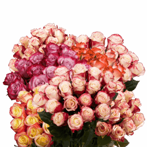 A large bouquet of roses in pastel colors