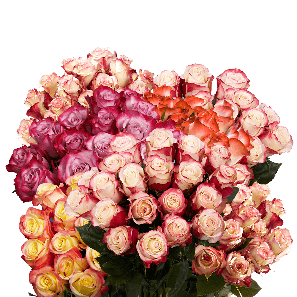 A large bouquet of roses in pastel colors