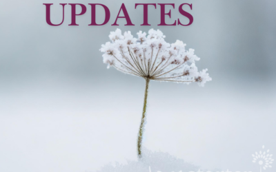 Inclement Weather Update